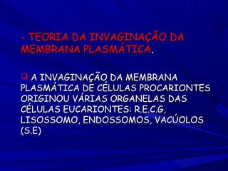 - TEORIA DA INVAGINAÇÃO DA
MEMBRANA PLASMÁTICA.
 A INVAGINAÇÃO DA MEMBRANA

PLASMÁTICA DE CÉLULAS PROCARIONTES
ORIGINOU VÁRIAS ORGANELAS DAS
CÉLULAS EUCARIONTES: R.E.C.G,
LISOSSOMO, ENDOSSOMOS, VACÚOLOS
(S.E)

 