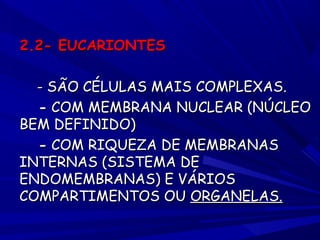 2.2- EUCARIONTES
- SÃO CÉLULAS MAIS COMPLEXAS.
- COM MEMBRANA NUCLEAR (NÚCLEO
BEM DEFINIDO)
- COM RIQUEZA DE MEMBRANAS
INTERNAS (SISTEMA DE
ENDOMEMBRANAS) E VÁRIOS
COMPARTIMENTOS OU ORGANELAS.

 