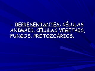 - REPRESENTANTES: CÉLULAS
ANIMAIS, CÉLULAS VEGETAIS,
FUNGOS, PROTOZOÁRIOS.

 