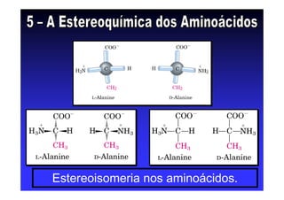 Estereoisomeria nos aminoácidos.
 