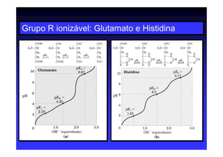 Grupo R ionizável: Glutamato e Histidina
 