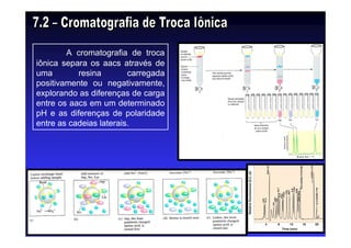 A cromatografia de troca
iônica separa os aacs através de
uma resina carregada
positivamente ou negativamente,
explorando as diferenças de carga
entre os aacs em um determinado
pH e as diferenças de polaridade
entre as cadeias laterais.
 