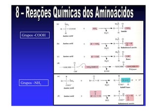 Grupos -COOH
Grupos –NH3
 