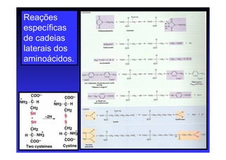 Reações
específicas
de cadeias
laterais dos
aminoácidos.
 