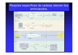 Reações específicas de cadeias laterais dos
aminoácidos.
 