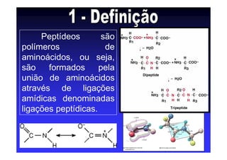 Peptídeos são
polímeros de
aminoácidos, ou seja,
são formados pela
união de aminoácidos
através de ligações
amídicas denominadas
ligações peptídicas.
 