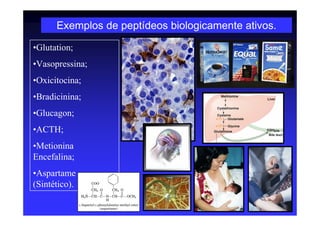 Exemplos de peptídeos biologicamente ativos.
•Glutation;
•Vasopressina;
•Oxicitocina;
•Bradicinina;
•Glucagon;
•ACTH;
•Metionina
Encefalina;
•Aspartame
(Sintético).
 