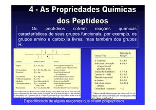 Especificidade de alguns reagentes que clivam polipeptídeos.
Os peptídeos sofrem reações químicas
características de seus grupos funcionais, por exemplo, os
grupos amino e carboxila livres, mas também dos grupos
R.
 