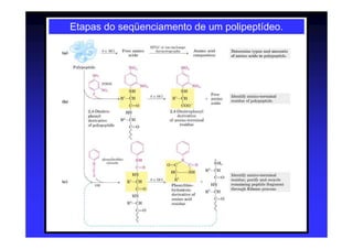 Etapas do seqüenciamento de um polipeptídeo.
 