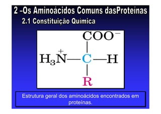 Estrutura geral dos aminoácidos encontrados em
proteínas.
Estrutura geral dos aminoácidos encontrados em
proteínas.
 