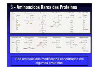 São aminoácidos modificados encontrados em
algumas proteínas.
 