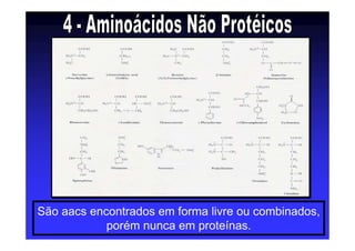 São aacs encontrados em forma livre ou combinados,
porém nunca em proteínas.
 