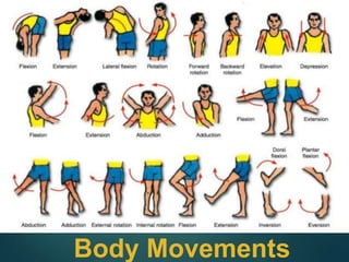 Body Movements
 