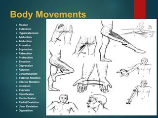 Body Movements
 Flexion
 Extension
 Hyperextension
 Adduction
 Abduction
 Pronation
 Supination
 Retraction
 Protraction
 Elevation
 Depression
 Rotation
 Circumduction
 External Rotation
 Internal Rotation
 Inversion
 Eversion
 Dorsiflexion
 Plantarflexion
 Radial Deviation
 Ulnar Deviation
 Opposition
 