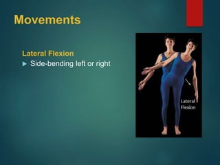 Movements
Lateral Flexion
 Side-bending left or right
 