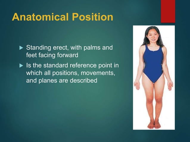 Body Position Examples 01-Anatomical Positions 2017.ppt