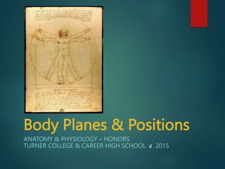 Body Planes & Positions
ANATOMY & PHYSIOLOGY – HONORS
TURNER COLLEGE & CAREER HIGH SCHOOL  2015
 