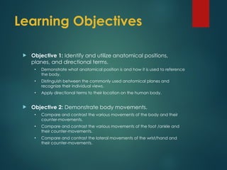 01-Anatomical Positions and terms 2017.ppt