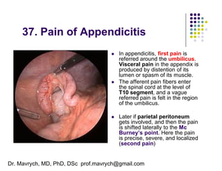 01-Anatomy-Shelf-Notes-1.pdf