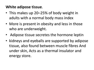 White adipose tissue.
• This makes up 20–25% of body weight in
adults with a normal body mass index
• More is present in obesity and less in those
who are underweight.
• Adipose tissue secretes the hormone leptin
• kidneys and eyeballs are supported by adipose
tissue, also found between muscle fibres And
under skin, Acts as a thermal insulator and
energy store.
 