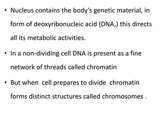 • Nucleus contains the body’s genetic material, in
form of deoxyribonucleic acid (DNA,) this directs
all its metabolic activities.
• In a non-dividing cell DNA is present as a fine
network of threads called chromatin
• But when cell prepares to divide chromatin
forms distinct structures called chromosomes .
 