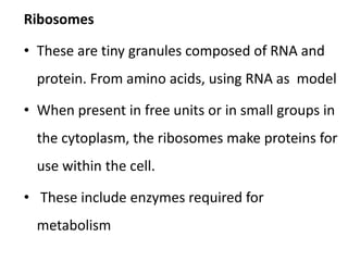 Ribosomes
• These are tiny granules composed of RNA and
protein. From amino acids, using RNA as model
• When present in free units or in small groups in
the cytoplasm, the ribosomes make proteins for
use within the cell.
• These include enzymes required for
metabolism
 