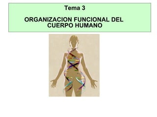 Tema 3
ORGANIZACION FUNCIONAL DEL
CUERPO HUMANO
 