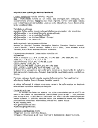 14
Implantação e condução da cultura do café
Local da implantação: Altitude entre 400 e 1200 m.
Solo : Profundidade mínima de um metro, Boa drenagem.Nem pedregoso, nem
excessivamente arenoso. Topografia não muito íngreme. Terreno com faces voltadas
para ventos frios devem ser evitados. Local que tenha tido cafezal a menos de dois anos.
Evitar baixadas úmidas.
Variedades e cultivares
A espécie Coffea arabica possui muitas variedades mas poucas tem valor econômico:
Coffea arabica L. var. arábica(Cramer) é a mais cultivada.
Coffea arabica L. var. angustifolia (Roxb) Miq
Coffea arabica L. var. bourbon (B.Rodr.) Choussy
Coffea arabica L. var. caturra, etc...
As linhagens são agrupadas em cultivares:
Amarelo de Botucatu, Sumatra, Maragogipe, Bourbon Vermelho, Bourbon Amarelo,
Caturra Amarelo, Caturra Vermelho, sendo a Mundo Novo, Catuaí Amarelo, Catuaí
Vermelho, Icatu e Acaiá as mais cultivadas atualmente.
Os principais cultivares de Coffea arabica indicados são:
Novo Mundo:
com as linhagens IAC 376-4, IAC 464, IAC 515, IAC 388-17, IAC 388-6, IAC 501;
Acaiá: IAC 474-4, IAC 474-7, IAC 474-19
Catuaí Vermelho: IAC 24, IAC 44, IAC 81, IAC 99
Catuaí Amarelo: IAC 62, IAC 86
Icatu Amarelo: IAC 3282, IAC 2944, IAC 2907, IAC 3686
Icatu Vermelho:IAC 2945, IAC 4040, IAC 4045 e IAC 4782
O Catuaí tem a vantagem de apresentar porte menor que a novo mundo. Os cultivares
Icatu apresentam resistência à ferrugem dispensando pulverizações para o controle da
doença.
Principais cultivares de café robusta: espécie Coffea canephora Pierre ex Froehner.
Conilon ou Kouillou, Guarini, Robusta, Apoatã e Laurenti.
A cultivar IAC-Apoatã é indicada como porta –enxerto da coffea arabica em locais de
ocorrência do nematóide Meloidogyne incognita.
Formação de Mudas
As mudas são feitas em viveiros com cobertura(sombrite) que de 40-50% de
sombra. Para mudas de seis meses se usa saquinhos plásticos com 11x20x0,006 cm e
para mudas de ano 14x26x0,008 cm. São cheios com mistura de solo, matéria orgânica e
adubos químicos. O substrato deve ser tratado com brometo de metila para combater
principalmente nematóides. A semeadura pode ser feita de três modos:
Direta nos saquinhos.
Em germinadores de areia
Sementes pré-germinadas.
Cuidados na condução do viveiro:
Regar sem excesso e sem falta de água.
Irrigações nitrogenadas (2 a 3 vezes- intervalo 15 dias) acelera o desenvolvimento.
 