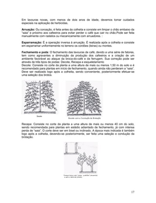 17
Em lavouras novas, com menos de dois anos de idade, devemos tomar cuidados
especiais na aplicação de herbicidas.
Arruação: Ou coroação, é feita antes da colheita e consiste em limpar o chão embaixo da
“saia” e próximo aos cafeeiros para evitar perder o café que cair no chão.Pode ser feita
manualmente com rastelos ou mecanicamente com arruadores. :
Esparramação: É a operação inversa à arruação. É realizada após a colheita e consiste
em esparramar uniformemente no terreno os cordões (leiras) ou montes.
Fechamento e poda: O fechamento das lavouras de café, devido a uma série de fatores,
tem como agravantes a diminuição da produção dos cafeeiros e a criação de um
ambiente favorável ao ataque da broca-do-café e da ferrugem. Sua correção pode ser
através de três tipos de podas: Decote, Recepa e esqueletamento
Decote: Consiste no corte da planta a uma altura de mais ou menos 1,50 m do solo e é
recomendado para plantas em início de fechamento, quando ainda não perderam a “saia”.
Deve ser realizado logo após a colheita, sendo conveniente, posteriormente efetuar-se
uma seleção dos brotos.
Recepa: Consiste no corte da planta a uma altura de mais ou menos 40 cm do solo,
sendo recomendada para plantas em estádio adiantado de fechamento, já com intensa
perda de “saia”. O corte deve ser em bisel ou inclinado. A época mais indicada é também
logo após a colheita, devendo-se posteriormente, ser feita uma seleção e condução da
brotação.
 
