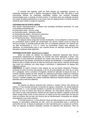 20
O controle das lagartas pode ser feito através de inseticidas químicos ou
inseticidas biológicos como o Bacillus thuringiencis (Dipel PM: 250- 500 g/ha) e mais
comumente através de inseticidas piretróides usados nas mesmas dosagens
recomendadas para o controle do bicho mineiro. O controle deve ser praticado somente
nos casos de ataque significativo ou em focos, pois em ataques leves o controle natural é
suficiente para manter a praga em equilíbrio.
COCHONILHAS DA PARTE AÉREA
Elas atacam esporadicamente o cafeeiro sob condições climáticas favoráveis. As mais
comumente encontradas são:
• Cochonilha verde - Coccus viridis
• Cochonilha parda - Saissetia coffeae
• Cochonilha de cadeia - Cerococcus catenarius
• Cochonilha branca - Planococcus citri
• Cochonilha de placa - Orthezia praelonga
Os ataques dessa praga são sempre localizados, nunca atingindo a lavoura toda.
As cochonilhas verde e parda são encontradas nos ramos e folhas novas ao longo da
nervura principal. O controle pode ser feito com um inseticida fosforado, em mistura com
um óleo emulsionável a 1-1,5 %. Como as cochonilhas iniciam seus ataques em
reboleiras, as pulverizações para o seu controle devem se restringir somente às áreas
atacadas e pequena área adjacente.
COCHONILHA DA RAIZ Dysmicoccus cryptus
Ataca as raízes do cafeeiro em pequenas reboleiras dispersas pela lavoura
aumentando rapidamente se medidas de controle não forem efetuadas a tempo. Sua
ocorrência é mais facilmente percebida nos meses mais secos do ano. O ataque causa
amarelecimento das plantas, semelhante ao ataque de nematóides, e a existência de uma
fenda no solo e montes de terra ao redor do tronco por onde ocorre o trânsito de formigas
que vivem em simbiose com essa praga e promovem o alastramento do ataque aos
cafeeiros vizinhos.
CONTROLE: O melhor controle é feito através do uso de fosfina (Gastoxin, Phostec),
colocado ao redor do tronco das plantas, a 20 cm de profundidade, por meio de um cano
de ½ polegada. Como o produto é fumigante, deverá ser aplicado na época da seca. O
controle também poderá ser feito através de inseticidas granulados sistêmicos indicados
para o controle do bicho mineiro, nas dosagens superiores, aplicado durante o período
chuvoso. Também poderão ser usados inseticidas sistêmicos líquidos diluídos em água e
aplicados sob a saia dos cafeeiros.
CIGARRAS
As cigarras do gênero Quesada são maiores e causam danos mais graves ao
cafeeiro. A sua revoada acontece no período de agosto a dezembro. As outras espécies
são menores, e a sua revoada acontece no período de novembro a março. As fêmeas,
colocam os ovos no interior dos ramos do cafeeiros. Um mês depois nascem as ninfas,
que caem no solo onde penetram, fixando-se nas raízes do cafeeiro, sugando a seiva das
raízes. Essas ninfas vivem no solo cerca de 12 meses ao fim dos quais saem do solo por
meio de orifícios indo se fixar nos troncos até se transformarem novamente em adultos,
recomeçando o seu ciclo evolutivo.
O controle químico é o mais eficiente. Deve ser feito através do uso de inseticidas
líquidos ou granulados sistêmicos de solo, como foi recomendado para o controle da
cochonilha da raiz. A época da aplicação é muito importante para o sucesso do controle.
Para as espécies do gênero Quesada controlar de setembro até dezembro. Para as
 