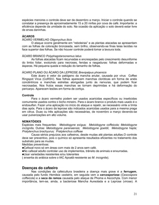 21
espécies menores o controle deve ser de dezembro a março. Iniciar o controle quando se
constatar a presença de aproximadamente 15 a 20 ninfas por cova de café. Importante: a
eficiência depende da umidade do solo. Na ocasião da aplicação o solo deverá estar livre
de ervas daninhas.
ÁCAROS
ÁCARO VERMELHO Oligonychus ilicis
O ataque ocorre geralmente em “reboleiras” e as plantas atacadas se apresentam
com as folhas de coloração bronzeada, sem brilho, observando-se finas teias tecidas na
face superior das folhas. Se não houver controle poderá tomar a lavoura toda.
ÁCARO BRANCO Polyphagotarsonemus latus
As folhas atacadas ficam recurvadas e encrespadas pelo crescimento desuniforme
do limbo foliar, evoluindo para necroses, fendas e rasgaduras: folhas deformadas e
ásperas. Há pequena queda e redução do tamanho de folhas.
ÁCARO PLANO OU ÁCARO DA LEPROSE Brevipalpus phoenicis
Este ácaro é vetor do patógeno da mancha anular, causada por vírus Coffee
Ringspot Virus (CoRSV). Nas folhas aparecem manchas cloróticas em forma de anéis
concêntricos e manchas estreitas alongadas junto às nervuras, que podem ficar
necrosadas. Nos frutos essas manchas se tornam deprimidas e há deformação do
pericarpo. Aparecem lesões em forma de cortiça.
Controle
Para o ácaro vermelho podem ser usados acaricidas específicos ou inseticidas
comumente usados contra o bicho mineiro. Para o ácaro branco o produto mais usado é o
endosulfan. Fazer uma aplicação no início do ataque e repetir, se necessário vinte a trinta
dias após. Para o ácaro da leprose são indicados acaricidas usados para a mesma praga
em citrus. Duas ou três aplicações são necessárias, de novembro a março devendo-se
usar pulverizações em alto volume.
NEMATÓIDES
Espécies mais frequentes: Meloidogyne exígua; Meloidogyne coffeicola; Meloidogyne
incógnita, Outras: Meloidogyne paranaensis; Meloidogyne goeldii; Meloidogyne hapla;
Pratylenchus brachyurus; Pratylenchus coffeae
Causa sérios prejuízos aos cafeeiros, desde mudas até plantas adultas.O controle
deve ser preventivo, pois o químico só apresenta resultados eficientes no tratamento dos
substrato para as mudas.
Medidas preventivas:
Cafezal novo só em áreas com mais de 2 anos sem café.
No cafezal adulto controlar uso de implementos, trânsito de animais e enxurradas.
Usar variedades resistentes e/ou tolerantes
( enxertia do arábica sobre o IAC Apoatã resistente ao M. incognita).
Doenças do cafeeiro
Nas condições da cafeicultura brasileira a doença mais grave é a ferrugem,
causada pelo fundo Hemileia vastatrix, em seguida vem a cercosporiose (Cescospora
coffeicola) e a seca de ramos causada pelo ataque de Phoma e Ascochyta. Com menor
importância, tem-se, ainda, a bacteriose Mancha Aureolada e a Leprose (virose). A
 