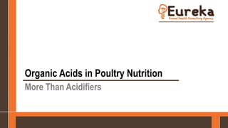 Organic Acids in Poultry Nutrition
More Than Acidifiers
 