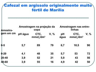 Cafezal em argissolo originalmente muito
              fértil de Marília



           Amostragem na projeção da   Amostragem nas entre-
Amostra-            copa                      linhas
gem em cm pH água     CTC,      V, %    pH      CTC,    V, %
                    mmolc/dm3          água   mmolc/dm3


0-5         5,7        89       79     6,7      10,5      90


0-20        4,1        48       35     5,7       53       72
20-40       3,9        52       21     5,0       43       56
40-60       3,9        55       16     4,9       42       50
 