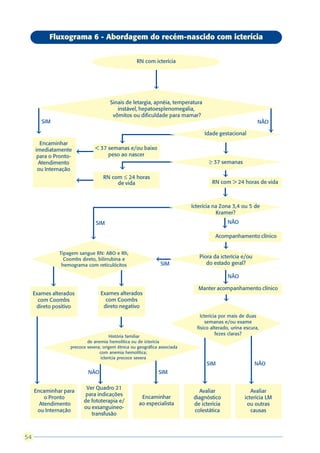 Fluxograma 6 - Abordagem do recém-nascido com icterícia


                                                        RN com icterícia



                                                                 â

                                            Sinais de letargia, apnéia, temperatura
                                               instável, hepatoesplenomegalia,
                                             vômitos ou dificuldade para mamar?
          SIM                                                                                                  NÃO
      â                                                                                                              â
                                                                                      Idade gestacional
        Encaminhar                              â
      imediatamente                 < 37 semanas e/ou baixo
                                                                                                â
                          â




       para o Pronto-                    peso ao nascer
        Atendimento                                                                       ³ 37 semanas
       ou Internação                            â
                                          RN com £ 24 horas                                     â
                          â




                                               de vida                                     RN com > 24 horas de vida

                                                                                                â
                                                                                Icterícia na Zona 3,4 ou 5 de
                                                                                           Kramer?
                                    SIM                                                             NÃO
                                                                                                â
                                  â                                                         Acompanhamento clínico

                                                                                                â
                    Tipagem sangue RN: ABO e Rh,
                                                                                   Piora da icterícia e/ou
                                                                 â




                      Coombs direto, bilirrubina e
                     hemograma com reticulócitos                     SIM              do estado geral?

                                                                                                    NÃO
                â                               â                                               â
                                                                                   Manter acompanhamento clínico
     Exames alterados                 Exames alterados
       com Coombs                       com Coombs                                              â
      direto positivo                  direto negativo
                                                                                    Icterícia por mais de duas
                                                                                       semanas e/ou exame
                                               â                                  físico alterado, urina escura,
                                                                                            fezes claras?
                                            História familiar
                                de anemia hemolítica ou de icterícia
                        precoce severa; origem étnica ou geográfica associada
                                      com anemia hemolítica;
                                       icterícia precoce severa
                                                                                      SIM                      NÃO
                                NÃO                                  SIM
     â                                â                          â                    â                    â
                               Ver Quadro 21
     Encaminhar para                                                               Avaliar                   Avaliar
                               para indicações
         o Pronto                                         Encaminhar             diagnóstico              icterícia LM
                              de fototerapia e/          ao especialista
       Atendimento                                                               de icterícia              ou outras
                              ou exsanguineo-
      ou Internação                                                              colestática                 causas
                                 transfusão



54
 