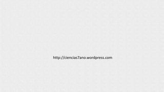 http://ciencias7ano.wordpress.com
 