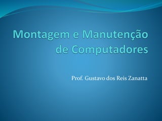Prof. Gustavo dos Reis Zanatta
 