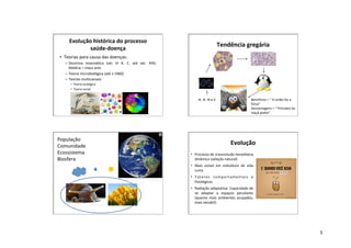 5
Evolução histórica do processo
saúde-doença
• Teorias para causa das doenças:
– Doutrina miasmática (séc VI A. C. até séc. XIX):
Malária = maus ares
– Teoria microbiológica (até ± 1960)
– Teorias multicausais
• Teoria ecológica
• Teoria social
Tendência gregária
H, O, N e C Benefícios = “ A união faz a
força”
Desvantagens = “ Princípio da
maçã podre”
População
Comunidade
Ecossistema
Biosfera
Evolução
• Processo de transmissão hereditária
dinâmico (seleção natural)
• Mais visível em indivíduos de vida
curta
• Fatores comportamentais e
fisiológicos
• Radiação adaptativa: Capacidade de
se adaptar a espaços peculiares
(quanto mais ambientes ocupados,
mais versátil)
 
