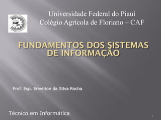 Técnico em Informática
Universidade Federal do Piauí
Colégio Agrícola de Floriano – CAF
Prof. Esp. Erivelton da Silva Rocha
1
 