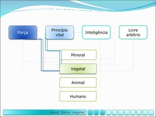 Mineral Animal Humano Inteligência Livre arbítrio Vegetal Força Princípio vital Aura: Reino vegetal 