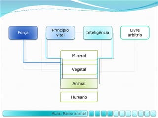 Mineral Humano Livre arbítrio Vegetal Animal Inteligência Força Princípio vital Aura: Reino animal 
