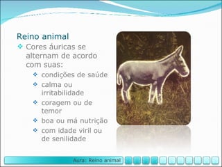 Reino animal Cores áuricas se alternam de acordo com suas: condições de saúde calma ou irritabilidade coragem ou de temor boa ou má nutrição com idade viril ou de senilidade Aura: Reino animal 