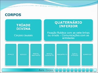 CORPOS Aura: Corpos 