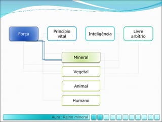 Vegetal Animal Humano Princípio vital Inteligência Livre arbítrio Mineral Força Aura: Reino mineral 