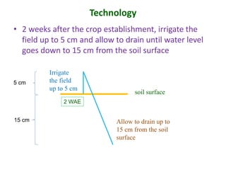 Alternate Wetting and Drying - Climate Smart Agriculture | PDF