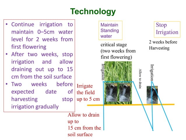 Alternate Wetting and Drying - Climate Smart Agriculture | PDF ...