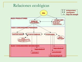 Relaciones ecológicas
 