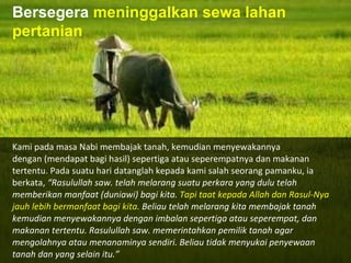 Kami pada masa Nabi membajak tanah, kemudian menyewakannya dengan (mendapat bagi hasil) sepertiga atau seperempatnya  dan makanan tertentu. Pada suatu hari datanglah kepada kami  salah seorang pamanku, ia berkata,  “Rasulullah saw. telah melarang suatu perkara yang dulu telah memberikan manfaat (duniawi) bagi kita.  Tapi taat kepada Allah dan Rasul-Nya jauh lebih bermanfaat bagi kita.  Beliau telah melarang kita membajak tanah kemudian menyewakannya dengan imbalan sepertiga atau seperempat, dan  makanan tertentu. Rasulullah saw. memerintahkan pemilik tanah  agar mengolahnya atau menanaminya sendiri. Beliau tidak  menyukai penyewaan tanah dan yang selain itu.” Bersegera  meninggalkan sewa lahan pertanian 