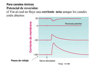 Para canales iónicos 
Potencial de reversión: 
el Vm al cual no fluye una corriente neta aunque los canales 
estén abiertos 
Corriente de membrana 
Pasos de voltaje 
 