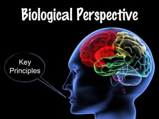 Biological Perspective
Key
Principles
 