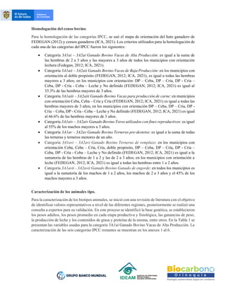 Homologación del censo bovino
Para la homologación de las categorías IPCC, se usó el mapa de orientación del hato ganadero de
FEDEGAN (2012) y censos ganaderos (ICA, 2021). Los criterios utilizados para la homologación de
cada una de las categorías del IPCC fueron los siguientes:
• Categoría 3A1ai – 3A2ai Ganado Bovino Vacas de Alta Producción: es igual a la suma de
las hembras de 2 a 3 años y las mayores a 3 años de todos los municipios con orientación
lechera (Fedegan, 2012; ICA, 2021).
• Categoría 3A1aii – 3A2aii Ganado Bovino Vacas de Baja Producción: en los municipios con
orientación al doble propósito (FEDEGAN, 2012; ICA, 2021), es igual a todas las hembras
mayores a 3 años; en los municipios con orientación: DP – Ceba, DP – Cría, DP - Cría –
Ceba, DP - Cría - Ceba – Leche y No definido (FEDEGAN, 2012; ICA, 2021) es igual al
33.3% de las hembras mayores de 3 años.
• Categoría 3A1aiii – 3A2aiii Ganado Bovino Vacas para producción de carne: en municipios
con orientación Ceba, Ceba – Cría y Cría (FEDEGAN, 2012; ICA, 2021) es igual a todas las
hembras mayores de 3 años; en los municipios con orientación DP – Ceba, DP – Cría, DP -
Cría – Ceba, DP - Cría - Ceba – Leche y No definido (FEDEGAN, 2012; ICA, 2021) es igual
al 66.6% de las hembras mayores de 3 años.
• Categoría 3A1aiv – 3A2aiv Ganado Bovino Toros utilizados con fines reproductivos: es igual
al 55% de los machos mayores a 3 años.
• Categoría 3A1av – 3A2av Ganado Bovino Terneros pre-destetos: es igual a la suma de todas
las terneras y terneros menores de un año.
• Categoría 3A1avi – 3A2avi Ganado Bovino Terneras de remplazo: en los municipios con
orientación Ceba, Ceba – Cría, Cría, doble propósito, DP – Ceba, DP – Cría, DP - Cría –
Ceba, DP - Cría - Ceba – Leche y No definido (FEDEGAN, 2012; ICA, 2021) es igual a la
sumatoria de las hembras de 1 a 2 y las de 2 a 3 años; en los municipios con orientación a
leche (FEDEGAN, 2012; ICA, 2021) es igual a todas las hembras entre 1 a 2 años.
• Categoría 3A1avii - 3A2avii Ganado Bovino Ganado de engorde: en todos los municipios es
igual a la sumatoria de los machos de 1 a 2 años, los machos de 2 a 3 años y el 45% de los
machos mayores a 3 años.
Caracterización de los animales tipo.
Para la caracterización de los biotipos animales, se inició con una revisión de literatura con el objetivo
de identificar valores representativos a nivel de las diferentes regiones, posteriormente se realizó una
consulta a expertos para su validación. En este proceso se identificó la base genética, se establecieron
los pesos adultos, los pesos promedio en cada etapa productiva y fisiológica, las ganancias de peso,
la producción de leche y los contenidos de grasa y proteína de la misma, entre otros. En la Tabla 1 se
presentan las variables usadas para la categoría 3A1ai Ganado Bovino Vacas de Alta Producción. La
caracterización de las seis categorías IPCC restantes se muestran en los anexos 1 al 6.
 